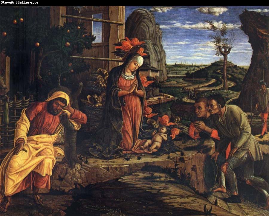 Andrea Mantegna Adoration of the Shepherds